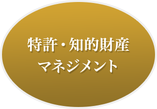 特許・知的財産 マネジメント