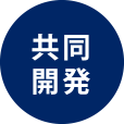 共同開発